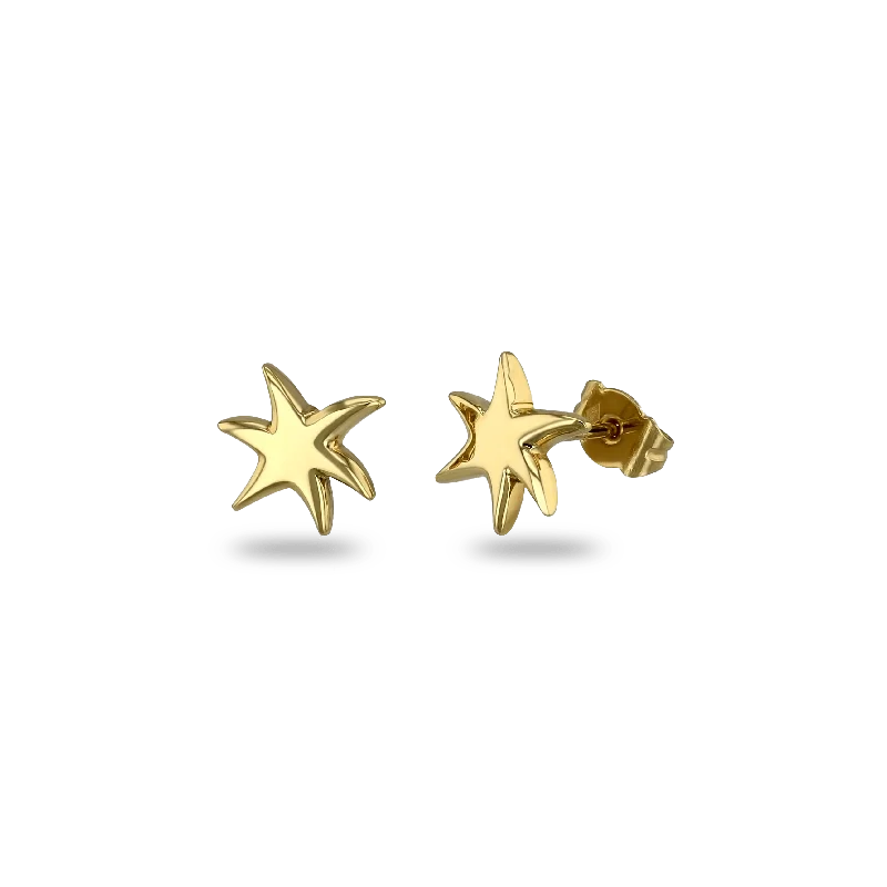 Star Earrings